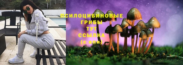 СК Балахна